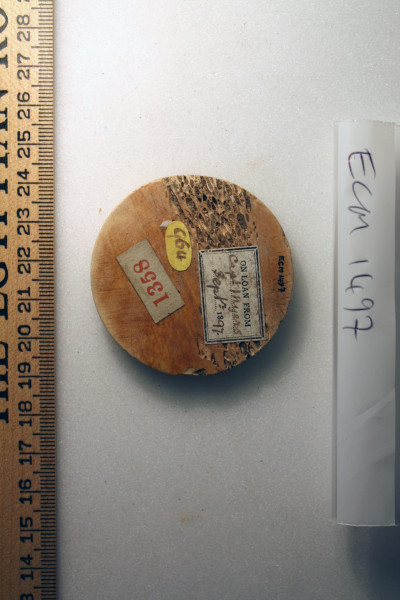 ECM.1497-2010-B image ECM.1497-2010-B