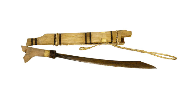 NHM-HT.7-2014 image NHM-HT.7-2014