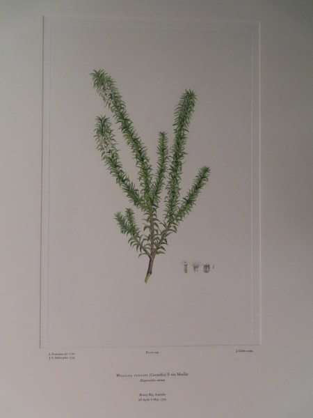 image FDA-E.2916_9_22-2016-A