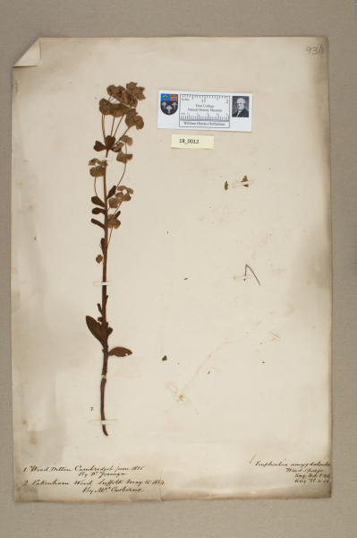 NHM_HH_18.12-2010 image NHM_HH_18.12-2010