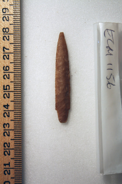 ECM.1156-2010-A image ECM.1156-2010-A