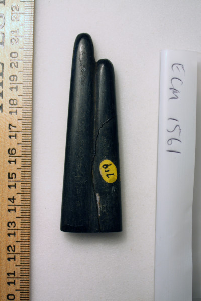 ECM.1561-2010-B image ECM.1561-2010-B