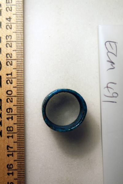 ECM.491-2010-C image ECM.491-2010-C