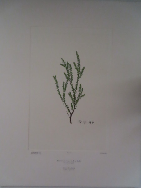 FDA-E.2916_5_20-2016-A image FDA-E.2916_5_20-2016-A