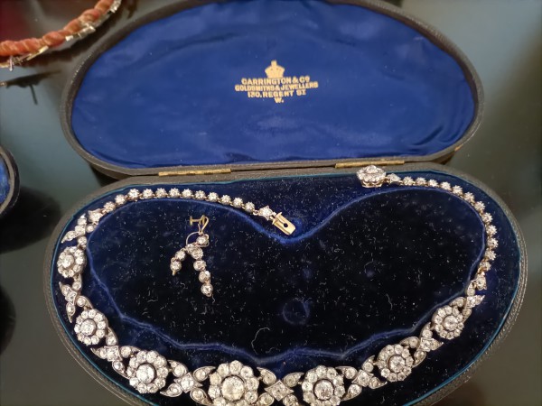 FDA-A.2495-2024 image FDA-A.2495-2024