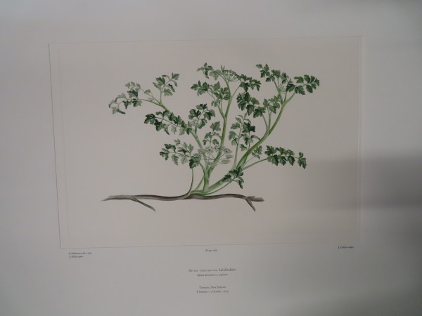 image FDA-E.2916_22_17-2016-A