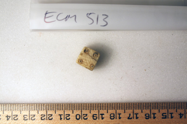 ECM.513-2010-D image ECM.513-2010-D