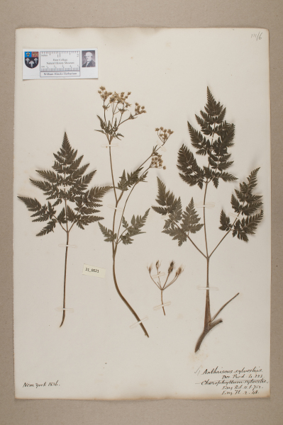 NHM_HH_21.21-2010 image NHM_HH_21.21-2010