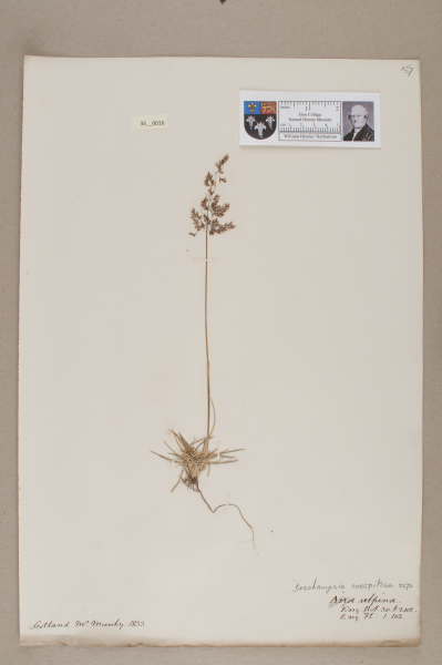 NHM_HH_35.16-2010 image NHM_HH_35.16-2010