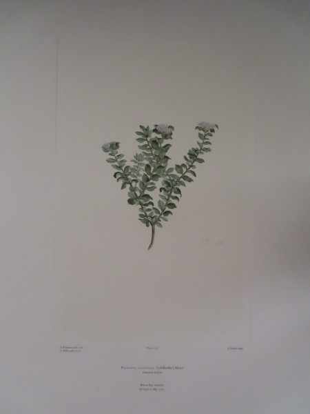 FDA-E.2916_7_7-2016 image FDA-E.2916_7_7-2016