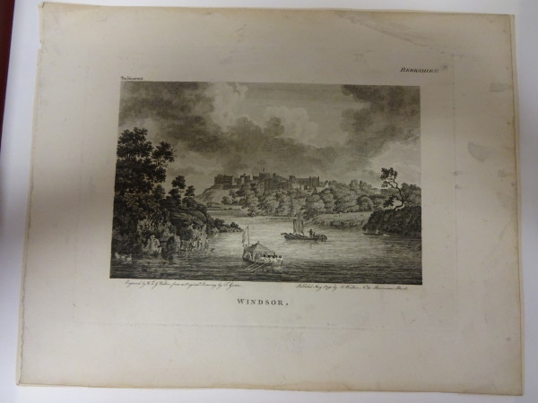 FDA-E.2315-2015 image FDA-E.2315-2015