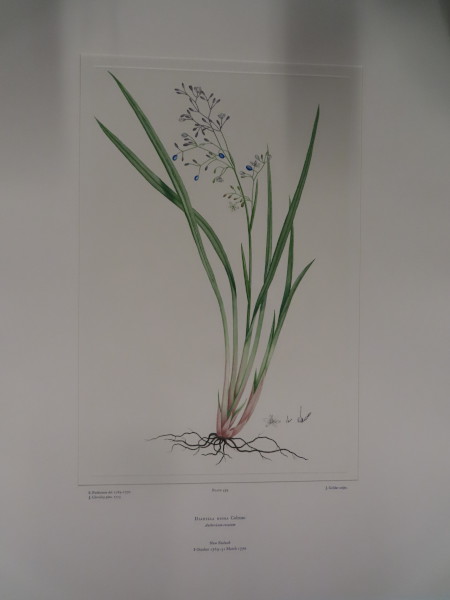 image FDA-E.2916_26_24-2016