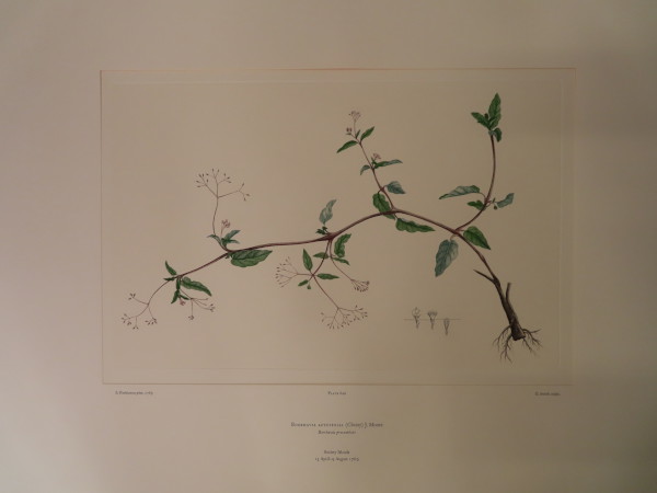 FDA-E.2916_30_15-2016 image FDA-E.2916_30_15-2016