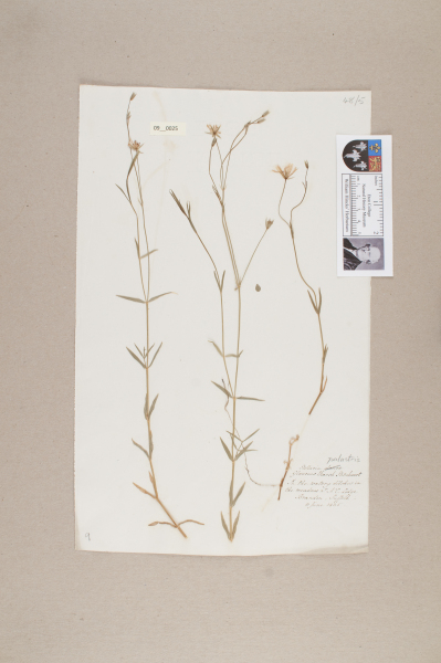 NHM_HH_9.25-2010 image NHM_HH_9.25-2010