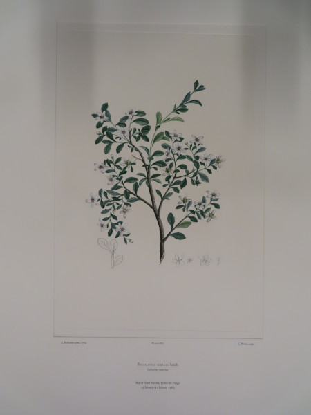 image FDA-E.2916_32_17-2016