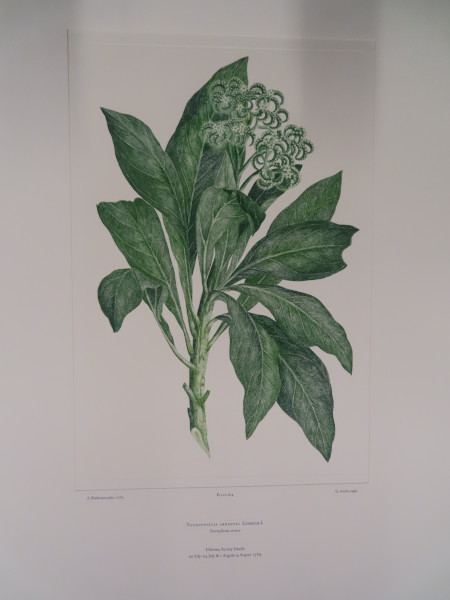 image FDA-E.2916_29_21-2016