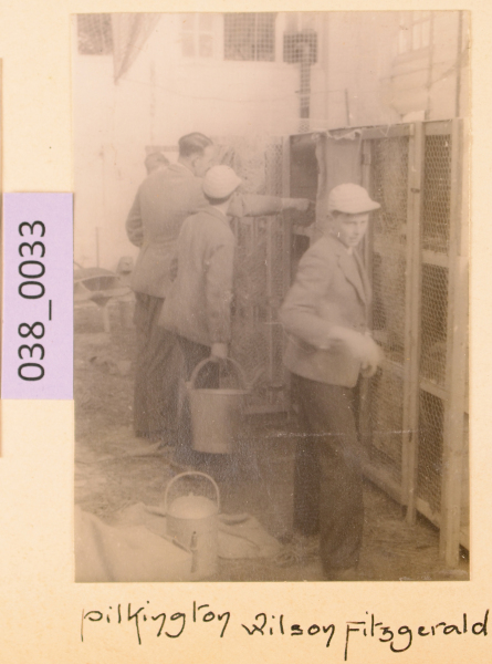 PA-A.38_33-2012 image PA-A.38_33-2012