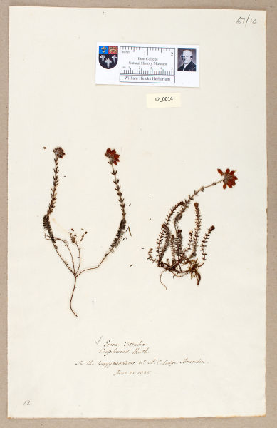 NHM_HH_12.14-2010 image NHM_HH_12.14-2010