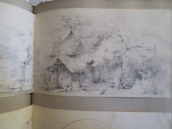 FDA-V.8-2016-BF image FDA-V.8-2016-BF