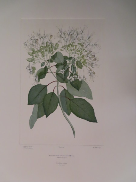 FDA-E.2916_12_10-2016 image FDA-E.2916_12_10-2016