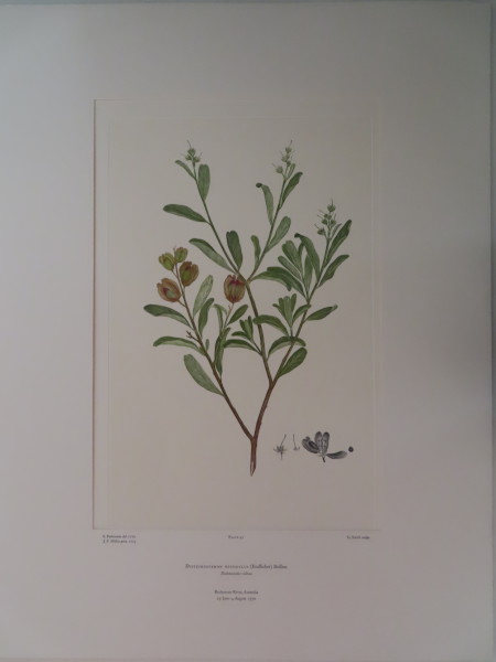 image FDA-E.2916_3_5-2016-A