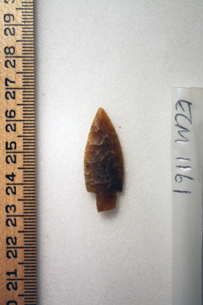 ECM.1161-2010-A image ECM.1161-2010-A