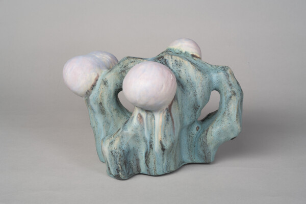 FDA-A.2561-2024-cr image FDA-A.2561-2024-cr