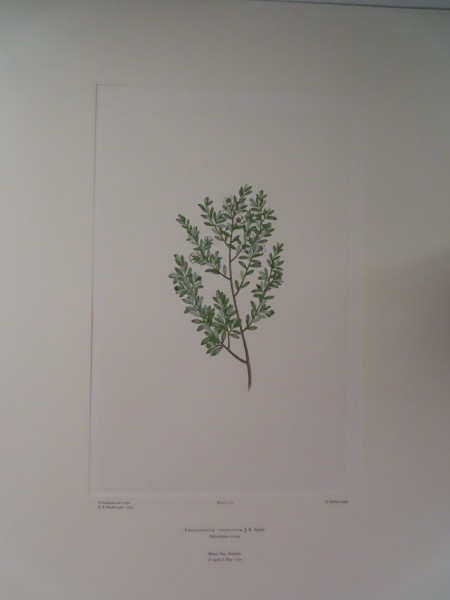 FDA-E.2916_5_25-2016 image FDA-E.2916_5_25-2016