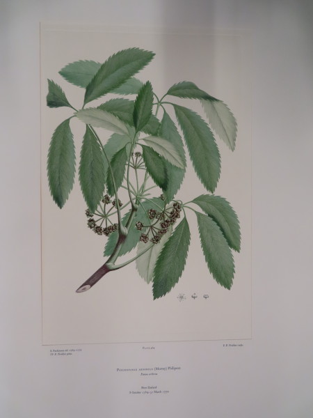 image FDA-E.2916_22_21-2016