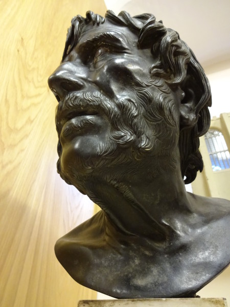 FDA-Sc.74-2017-C image FDA-Sc.74-2017-C