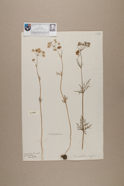 NHM_HH_21.30-2010 image NHM_HH_21.30-2010