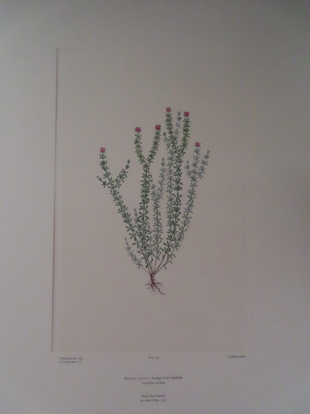 image FDA-E.2916_5_12-2016