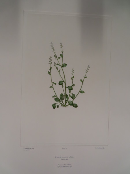 image FDA-E.2916_24_22-2016