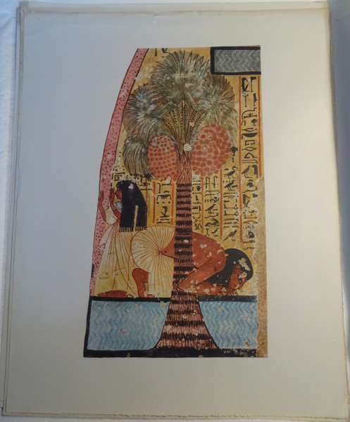 FDA-E.3055_31-2018 image FDA-E.3055_31-2018