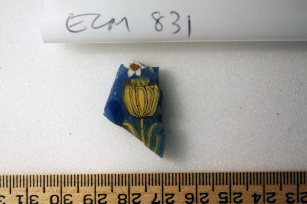 ECM.831-2010-A image ECM.831-2010-A