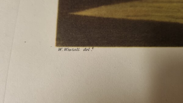 image FDA-E.3332-2026-C