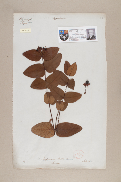 NHM_HH_10.5-2010 image NHM_HH_10.5-2010