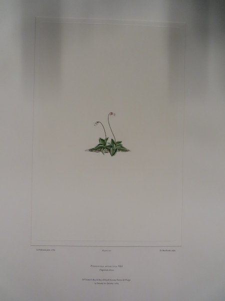 image FDA-E.2916_34_8-2016