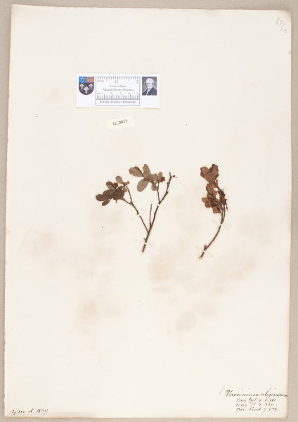 NHM_HH_12.23-2010 image NHM_HH_12.23-2010