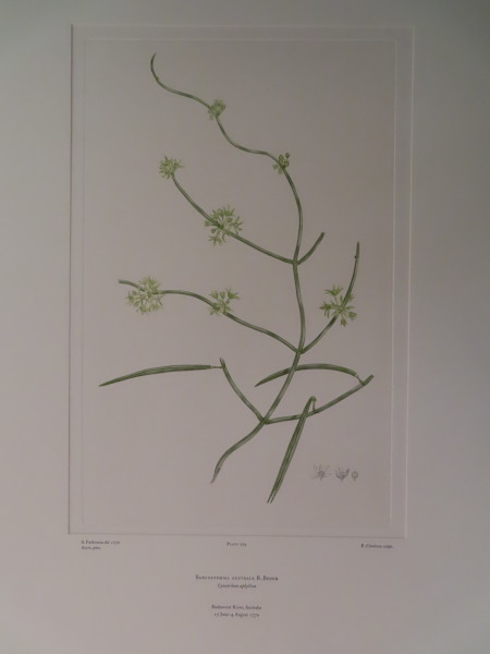 image FDA-E.2916_10_10-2016-A