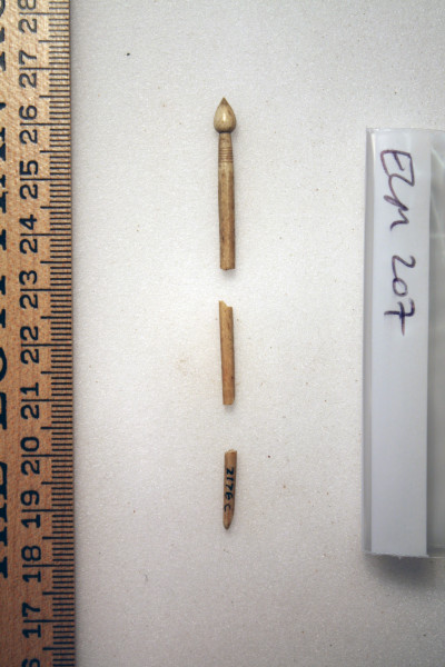 ECM.207-2010-A image ECM.207-2010-A