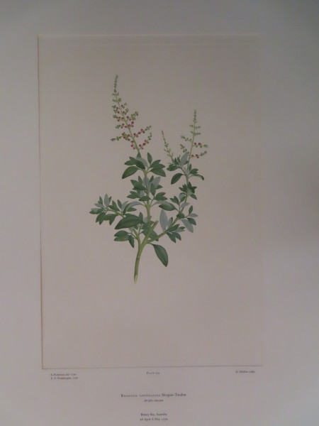 image FDA-E.2916_12_15-2016