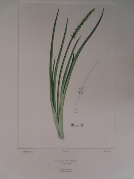 image FDA-E.2916_15_23-2016-A