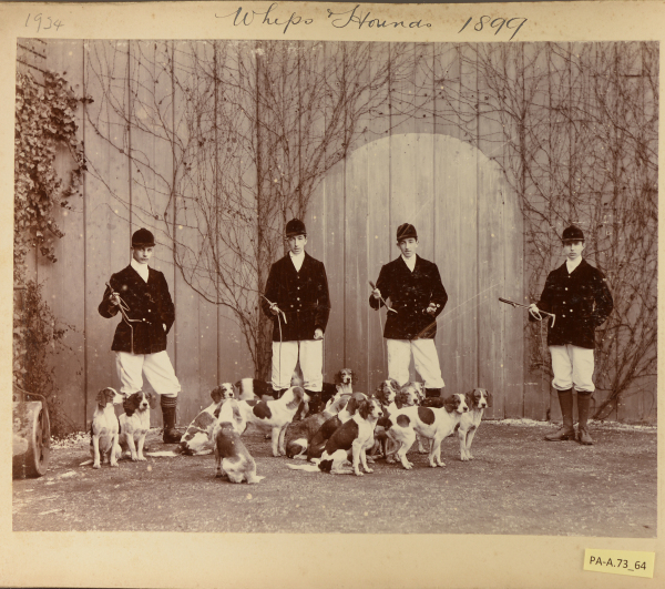 PA-A.73_64-2013 image PA-A.73_64-2013