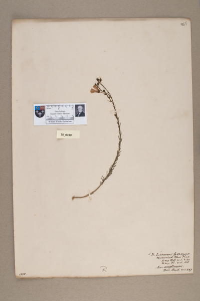 NHM_HH_18.30-2010 image NHM_HH_18.30-2010