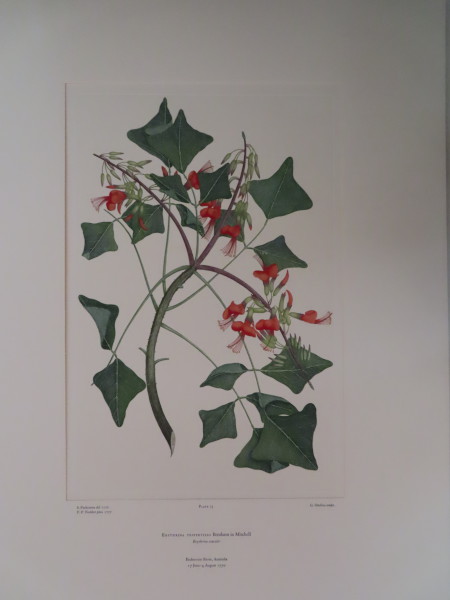 image FDA-E.2916_4_11-2016-A