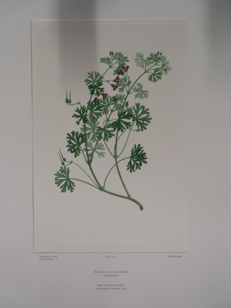 FDA-E.2916_20_24-2016 image FDA-E.2916_20_24-2016