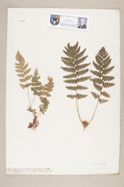 NHM_HH_5.64-2010 image NHM_HH_5.64-2010