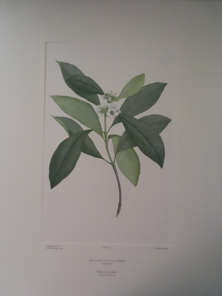 FDA-E.2916_6_14-2016-A image FDA-E.2916_6_14-2016-A