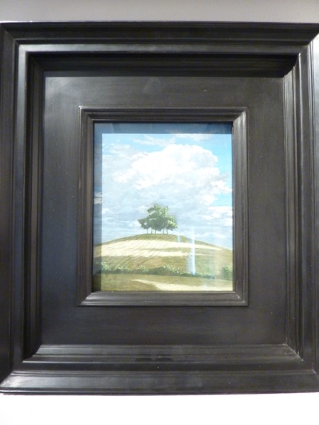 FDA-P.534-2014 image FDA-P.534-2014